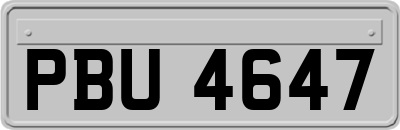 PBU4647