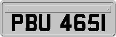 PBU4651