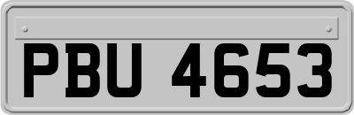 PBU4653