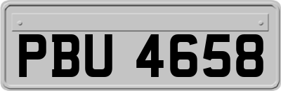 PBU4658