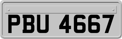 PBU4667