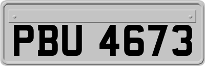 PBU4673