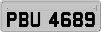 PBU4689