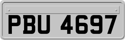 PBU4697