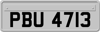 PBU4713