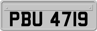 PBU4719