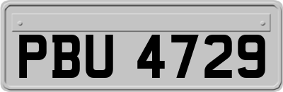 PBU4729