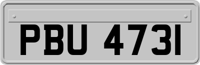 PBU4731