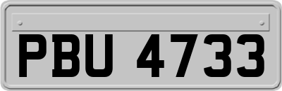 PBU4733