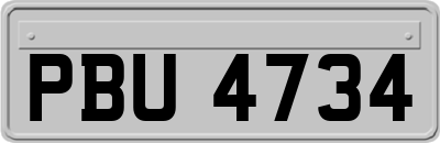 PBU4734