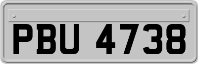 PBU4738