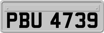 PBU4739