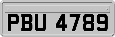 PBU4789