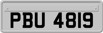 PBU4819