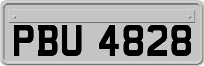 PBU4828