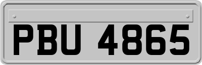 PBU4865