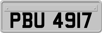 PBU4917