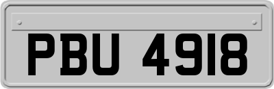 PBU4918