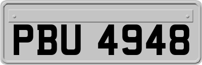 PBU4948