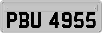 PBU4955