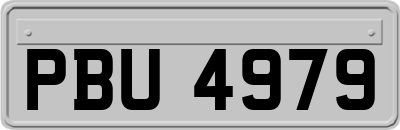 PBU4979