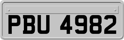 PBU4982