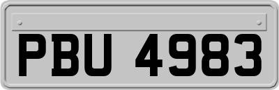 PBU4983