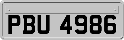 PBU4986