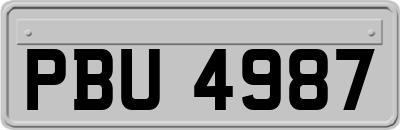 PBU4987