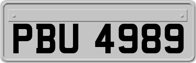 PBU4989