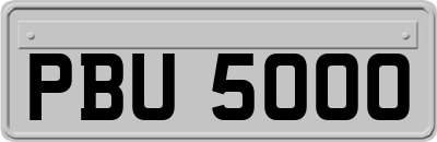 PBU5000