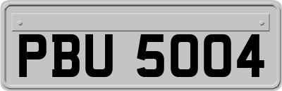 PBU5004