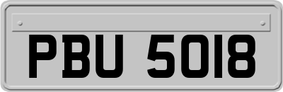 PBU5018