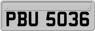 PBU5036