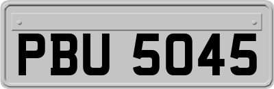 PBU5045