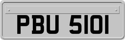 PBU5101