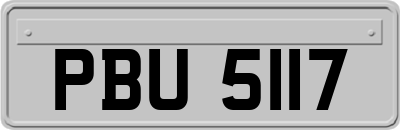 PBU5117