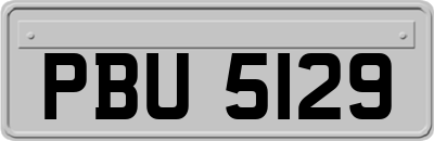 PBU5129