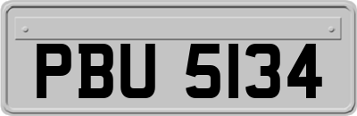 PBU5134