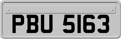 PBU5163