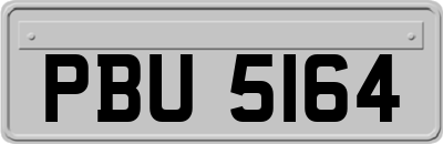 PBU5164