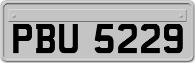 PBU5229