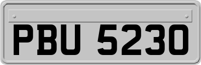 PBU5230