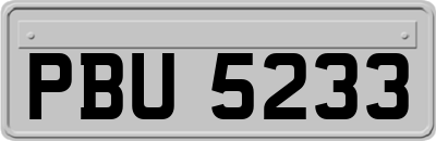 PBU5233