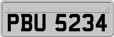 PBU5234