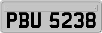 PBU5238