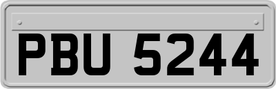 PBU5244