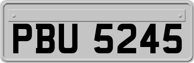 PBU5245