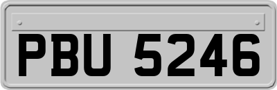 PBU5246