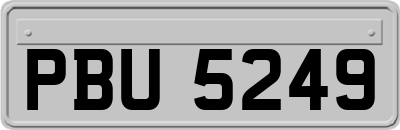 PBU5249